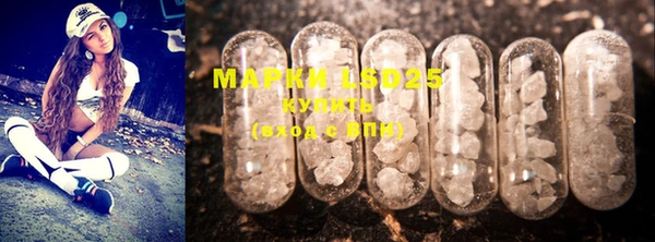 индика Кулебаки